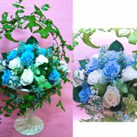 10周年水色のバラで